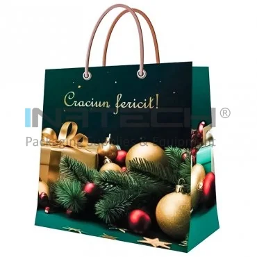 Pungi Pentru Cadouri, Personalizate, Aspect Lucios, 190 g/mp Plastifiere Lucioasa, Dimensiuni mm (L × l × h) 235 x 240 x 100, Tip Maner Snur, Gramaj 190 gr/mp