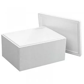 Cutii Termoizolante EPS Pentru Transport Dimensiune Interioara 305 X 210 X 200 mm, Grosime Perete 30 mm, Material EPS, Volum ...