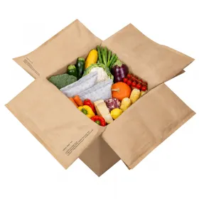 Kit Termoizolant Fresh Paperfloc M18, Dimensiuni Interioare 264 x 264 x 248 mm, Volum 18 L-Cutii Termo Fresh Pentru Produse P...