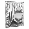 Punga Termoizolanta Cu Fermoar Isothermal Pouch Dimensiuni 200  X 250 mm, Clapeta 70 mm, Culoare Argintiu, Tip Doar Zip