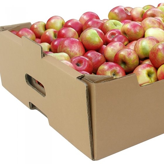 Ladite Carton Legume Si Fructe