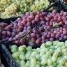 Ladite Din Plastic Pentru Fructe Si Legume- Lazi Pentru Transport