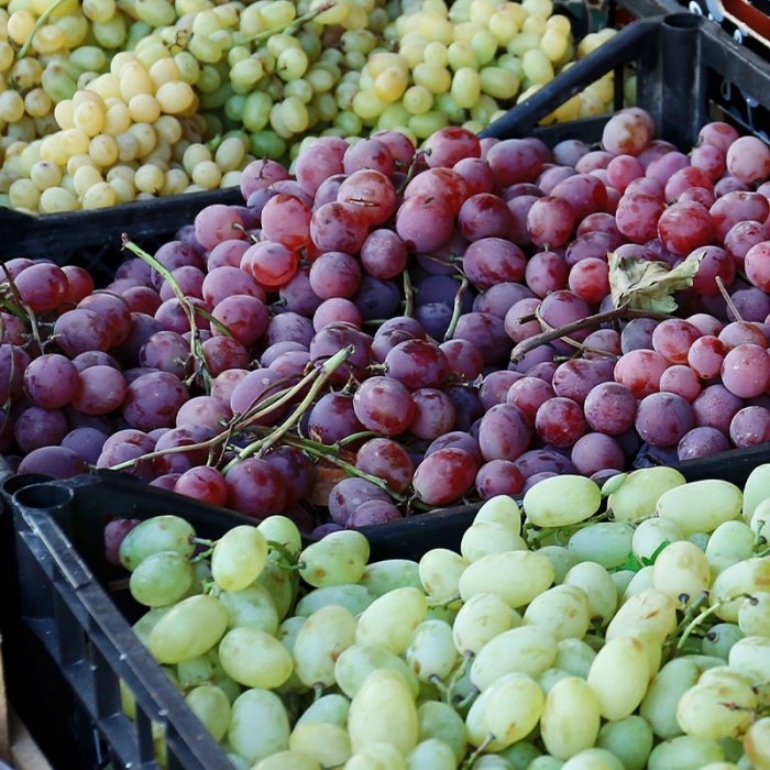 Ladite Din Plastic Pentru Fructe Si Legume- Lazi Pentru Transport