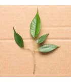 Экологическая упаковка