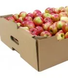 Картонные дамы