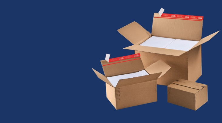 Cutii pentru <br /> e-commerce